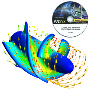 Software ANSYS